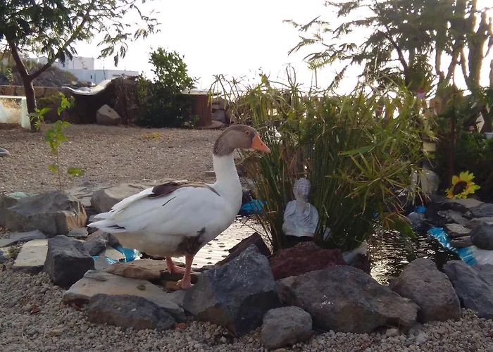 A Peaceful In Tenerife Casa rural Fasnia