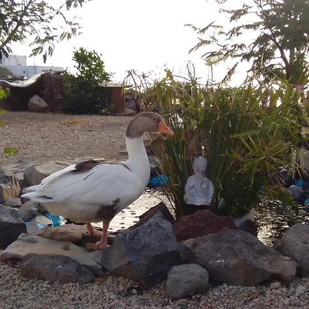 A Peaceful In Tenerife Landhuis Fasnia