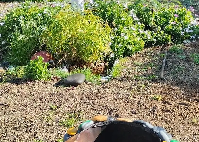 A Peaceful In Tenerife カントリーハウス *