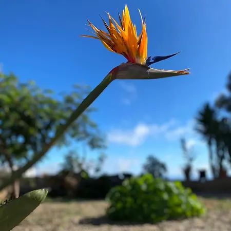 A Peaceful In Tenerife Летний дом
